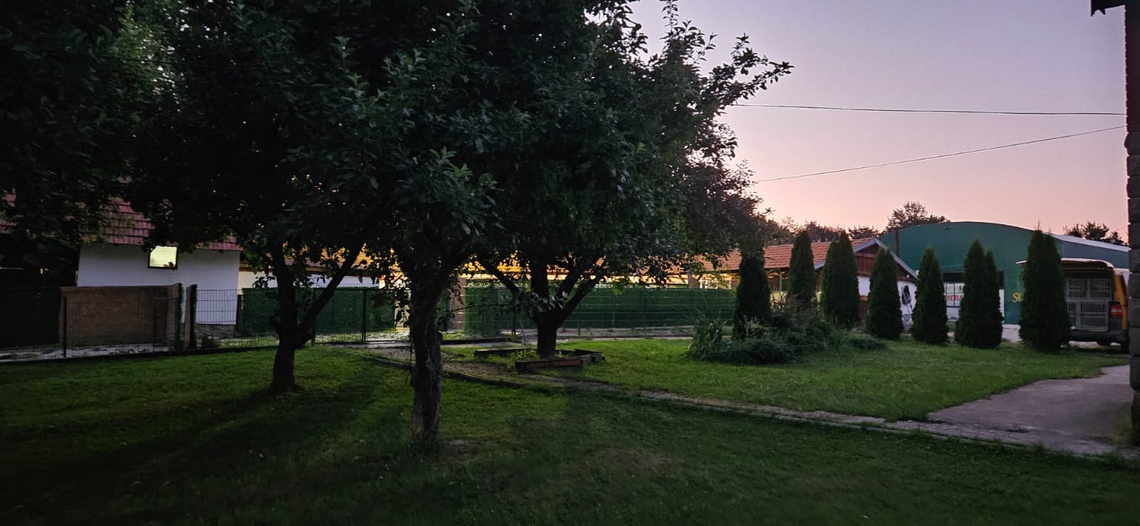 Professional Standards