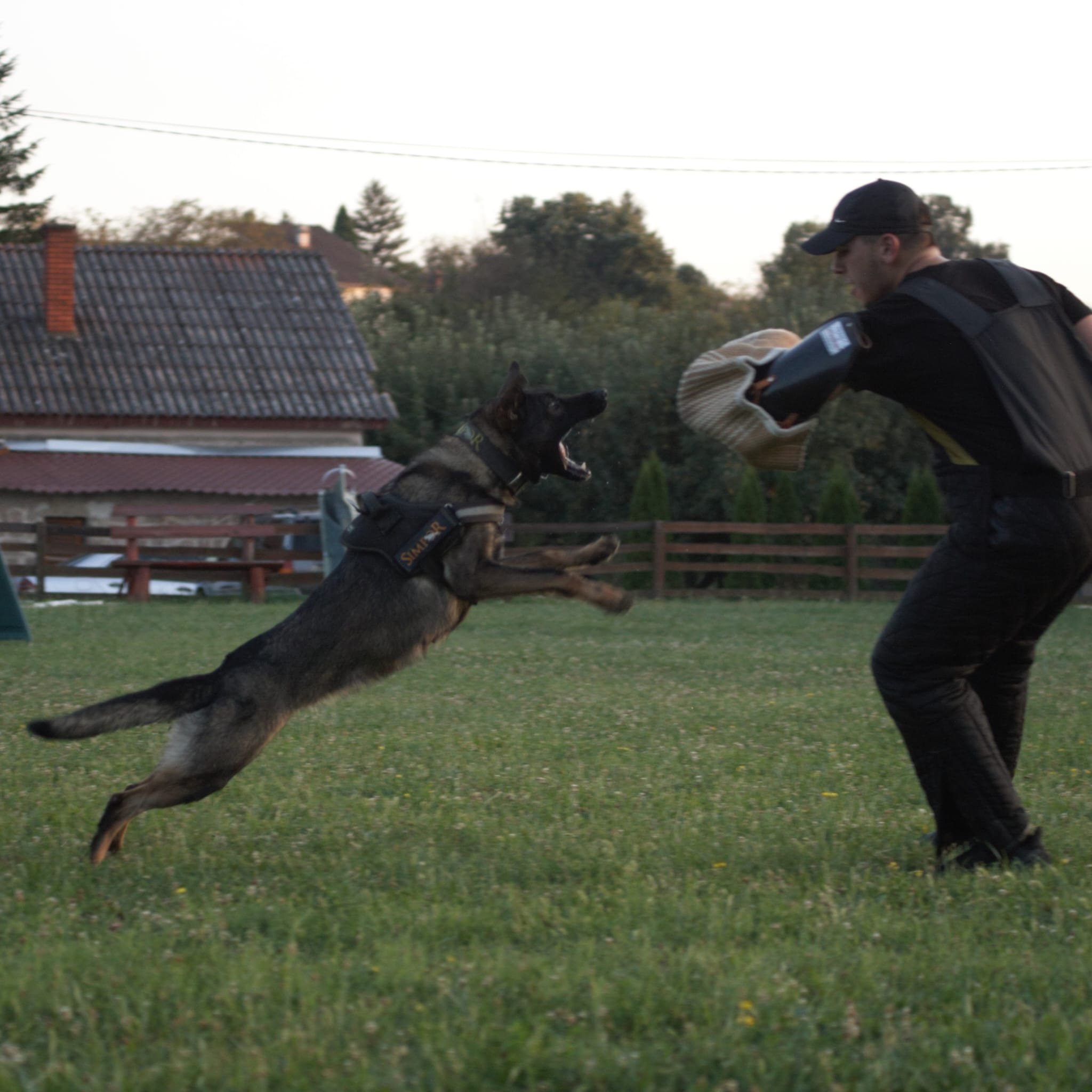 Awards and Achievements