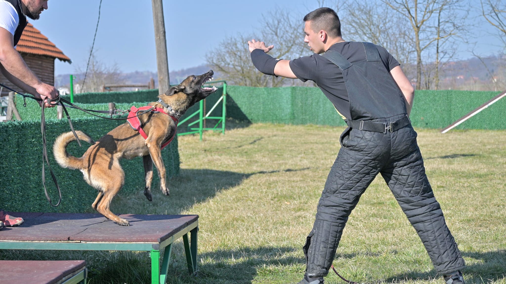 Personal Protection Training