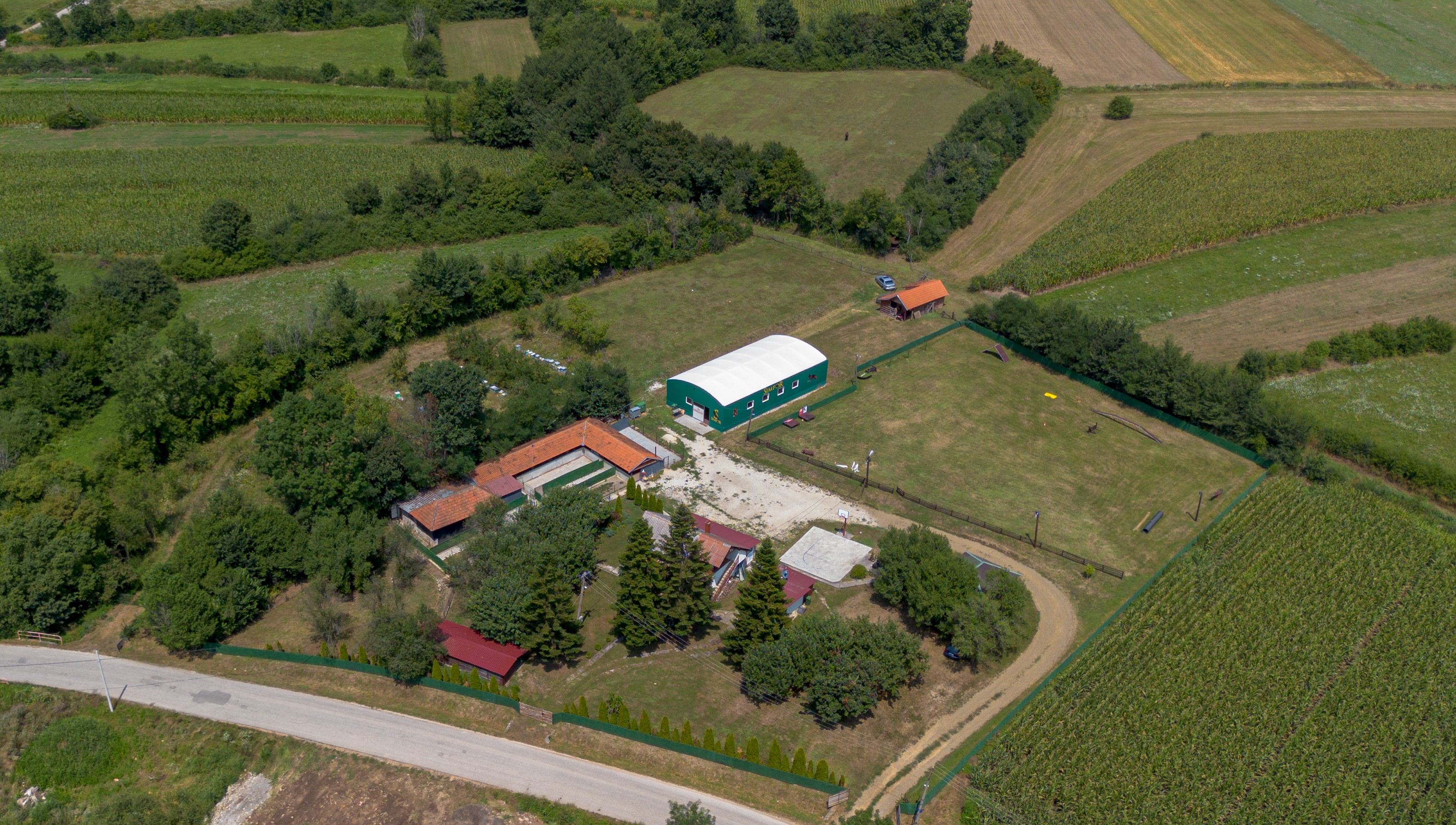 International Competition