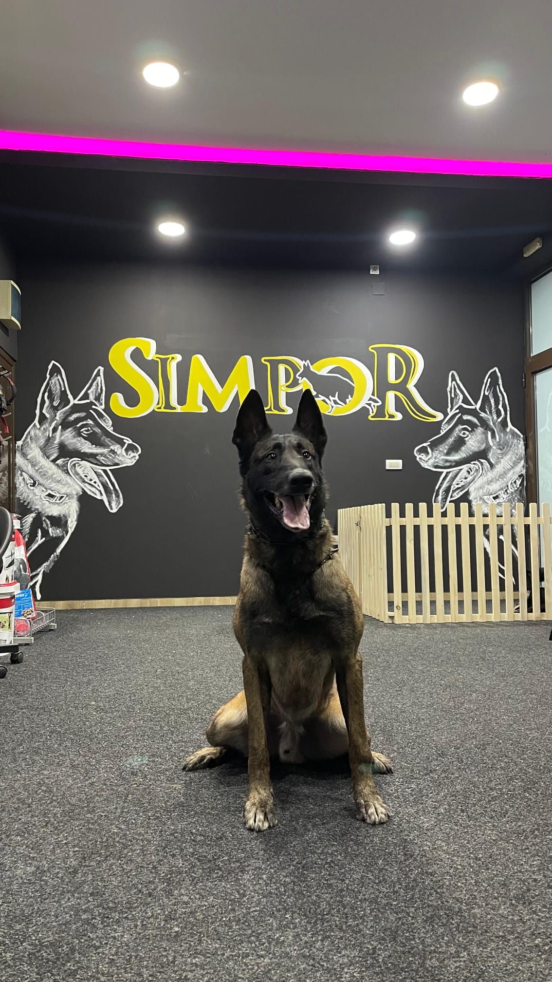 Simpor Dog Resort
