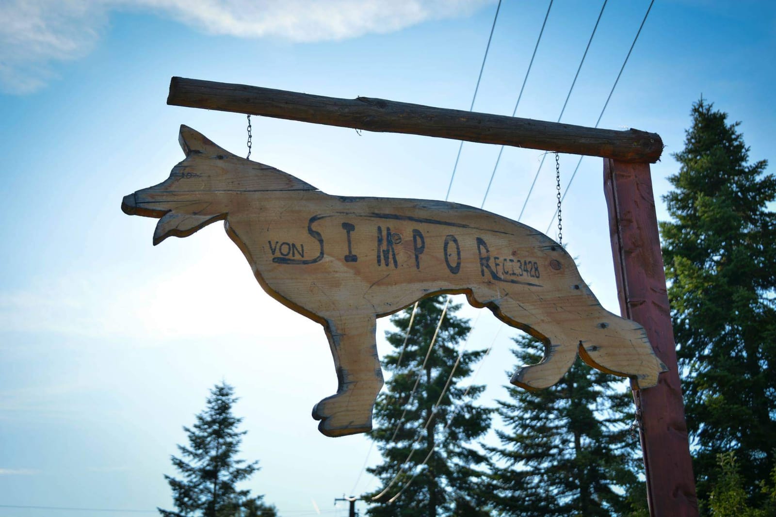 Simpor Dog Center Facility